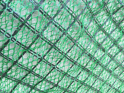 三维网植草 - 安平县成帅边坡防护工程有限公司图片4