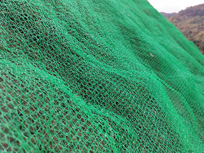 三维网植草 - 安平县成帅边坡防护工程有限公司图片5