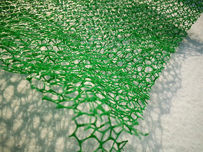 三维网植草 - 安平县成帅边坡防护工程有限公司图片6