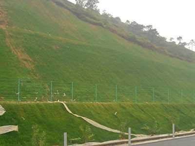 边坡绿化 - 安平县成帅边坡防护工程有限公司图片2