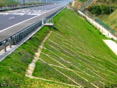 边坡绿化 - 安平县成帅边坡防护工程有限公司图片3