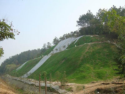 边坡绿化 - 安平县成帅边坡防护工程有限公司图片4