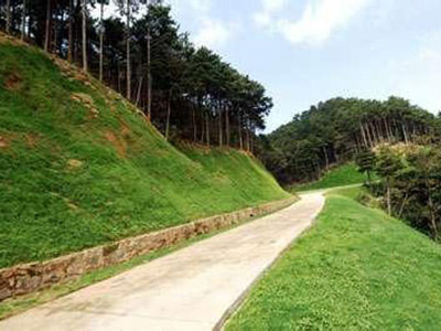 边坡绿化 - 安平县成帅边坡防护工程有限公司图片6