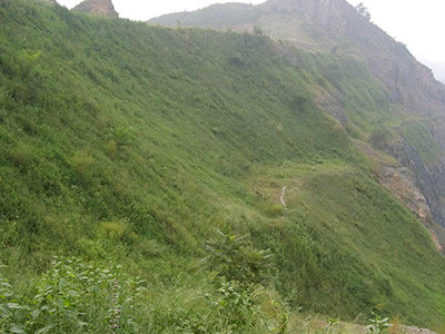 高次团粒喷播施工