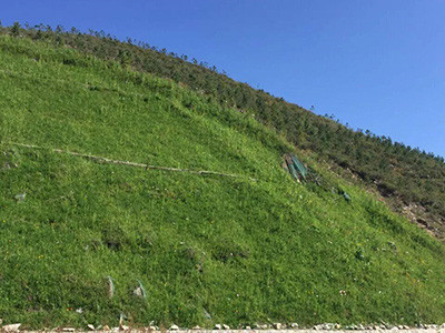 高次团粒喷播施工 - 安平县成帅边坡防护工程有限公司图片3