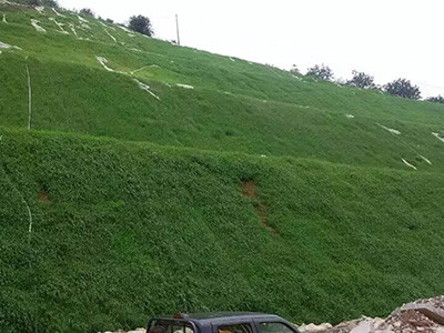 高次团粒喷播施工 - 安平县成帅边坡防护工程有限公司图片4