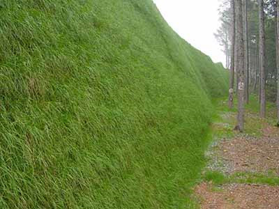 高次团粒喷播施工 - 安平县成帅边坡防护工程有限公司图片5