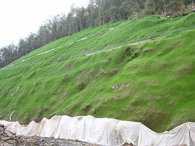 高次团粒喷播施工 - 安平县成帅边坡防护工程有限公司图片6