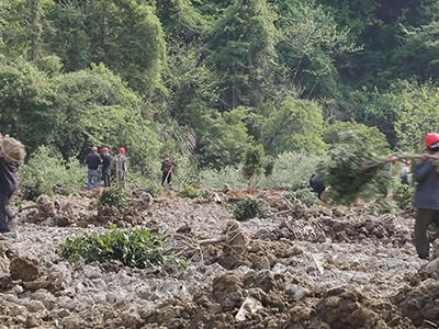 荒山复绿工程 - 安平县成帅边坡防护工程有限公司图片2