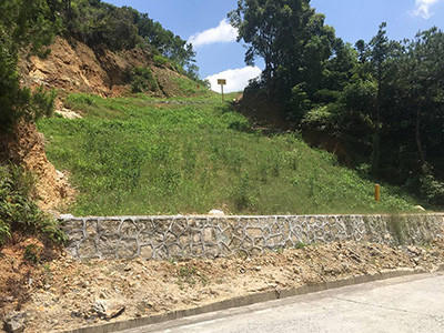 荒山复绿工程 - 安平县成帅边坡防护工程有限公司图片5