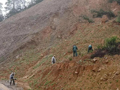 荒山复绿工程 - 安平县成帅边坡防护工程有限公司图片6