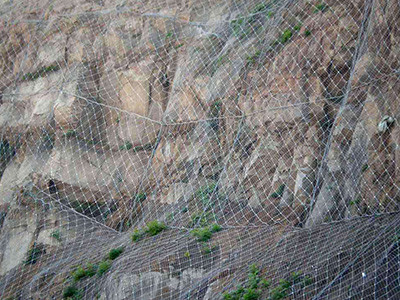 边坡防护网 - 安平县成帅边坡防护工程有限公司图片2