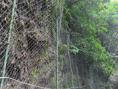 边坡防护网 - 安平县成帅边坡防护工程有限公司图片3