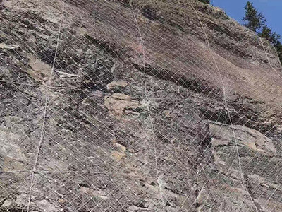 主动边坡防护网 - 安平县成帅边坡防护工程有限公司图片2