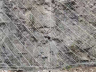 主动边坡防护网 - 安平县成帅边坡防护工程有限公司图片4