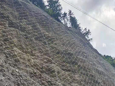 主动边坡防护网 - 安平县成帅边坡防护工程有限公司图片5