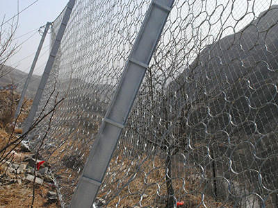 环形边坡防护网 - 安平县成帅边坡防护工程有限公司图片2