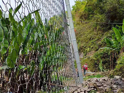 环形边坡防护网 - 安平县成帅边坡防护工程有限公司图片3