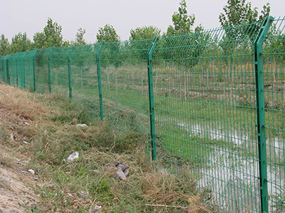 绿化铁丝网 - 安平县成帅边坡防护工程有限公司图片4