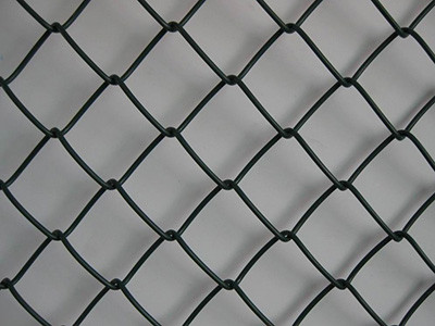 绿化铁丝网 - 安平县成帅边坡防护工程有限公司图片5