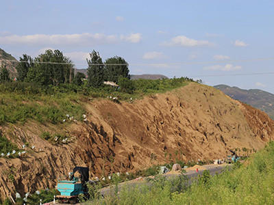 客土喷播案例 - 安平县成帅边坡防护工程有限公司图片3