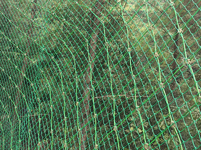 包塑边坡防护网 - 安平县成帅边坡防护工程有限公司图片5