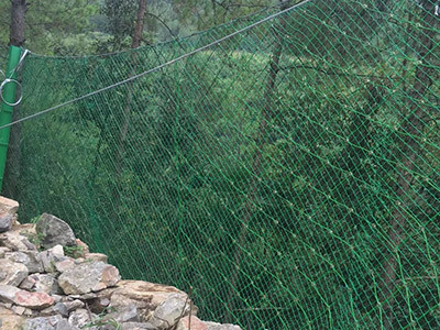 包塑边坡防护网 - 安平县成帅边坡防护工程有限公司图片6