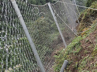 被动边坡防护网 - 安平县成帅边坡防护工程有限公司图片5