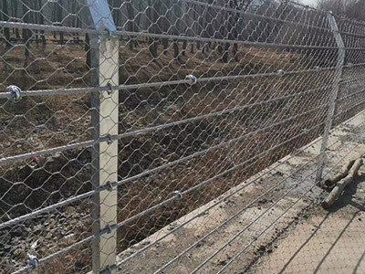 刚性防护网 - 安平县成帅边坡防护工程有限公司图片6