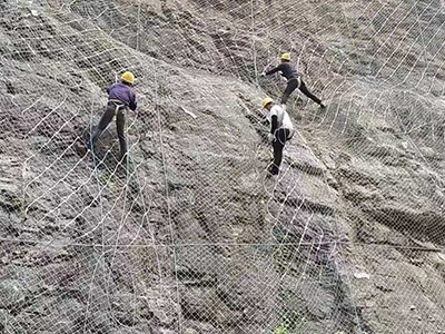 主动边坡防护网 - 安平县成帅边坡防护工程有限公司图片6