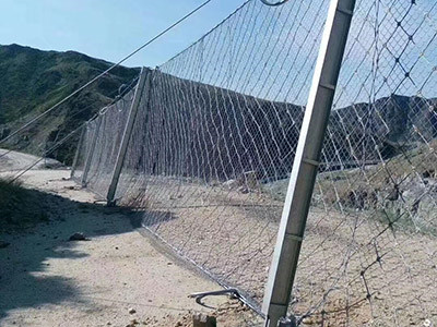 RX-075 型被动防护网 - 安平县成帅边坡防护工程有限公司图片3