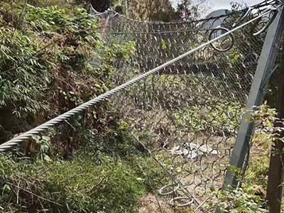 RXI-050 被动环形网 - 安平县成帅边坡防护工程有限公司图片4