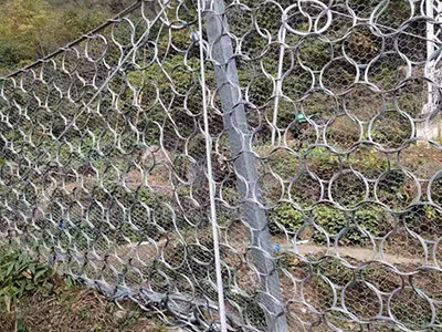 RXI-200 被动环形网 - 安平县成帅边坡防护工程有限公司图片3