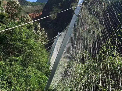 钢丝绳被动网案例 - 安平县成帅边坡防护工程有限公司图片3